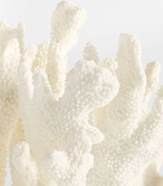 Faux Coral Decorative Object
