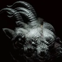 The Gazette "Beautiful Deformity" CD