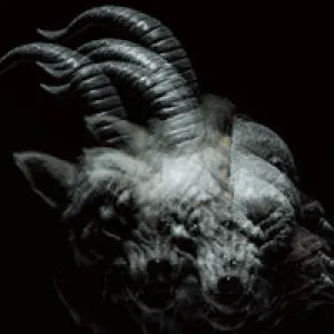 The Gazette "Beautiful Deformity" CD