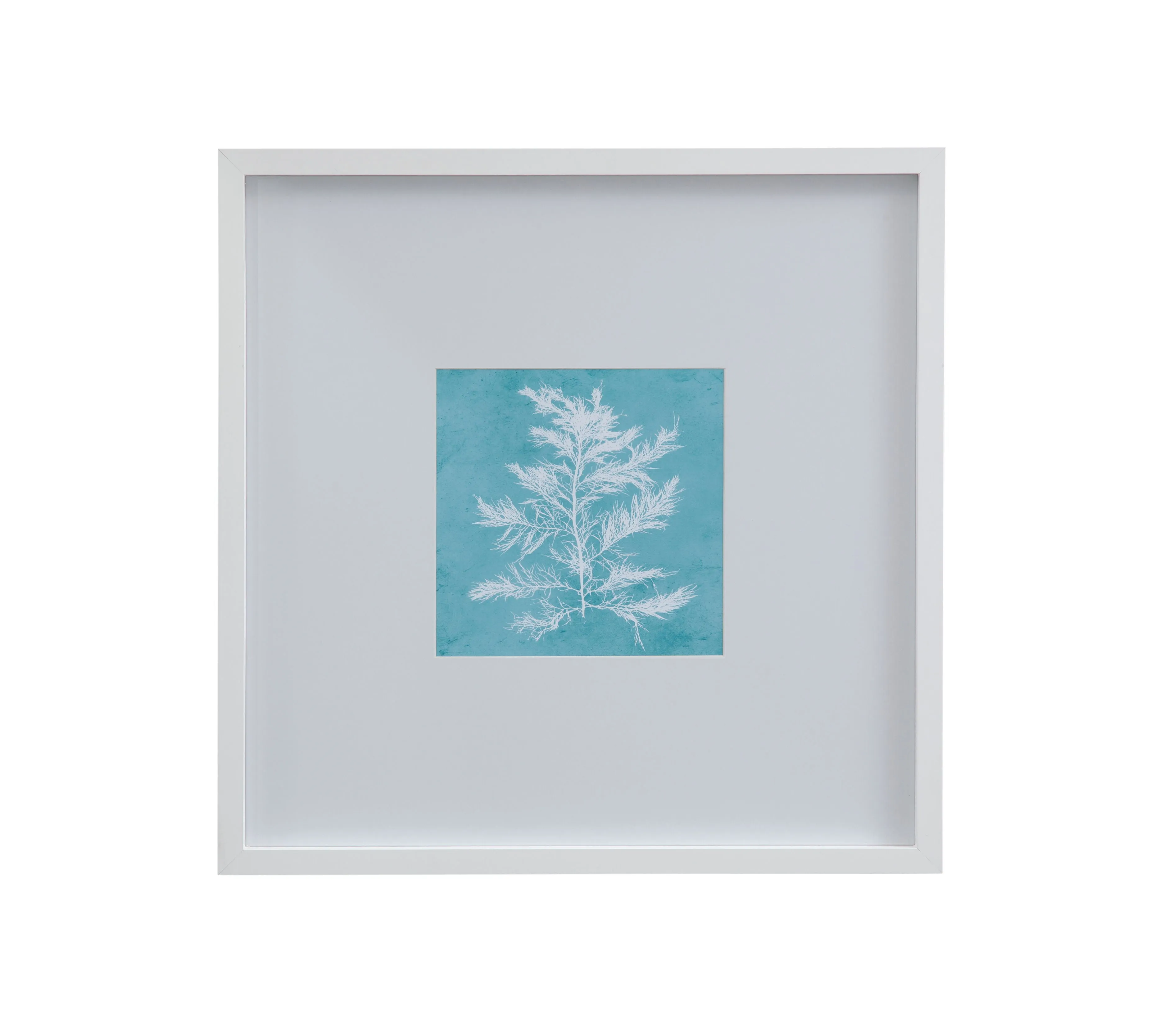 White Coral On Blue - IV Framed Print - Blue / White